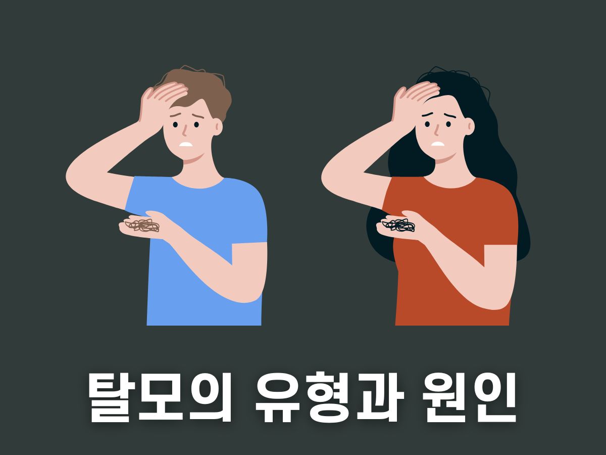탈모의 원인