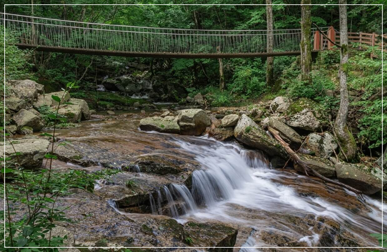 인제 가볼만한곳 베스트10 대암산 용늪