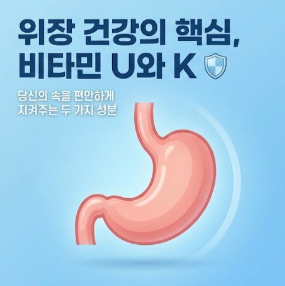 양배추즙의 효능