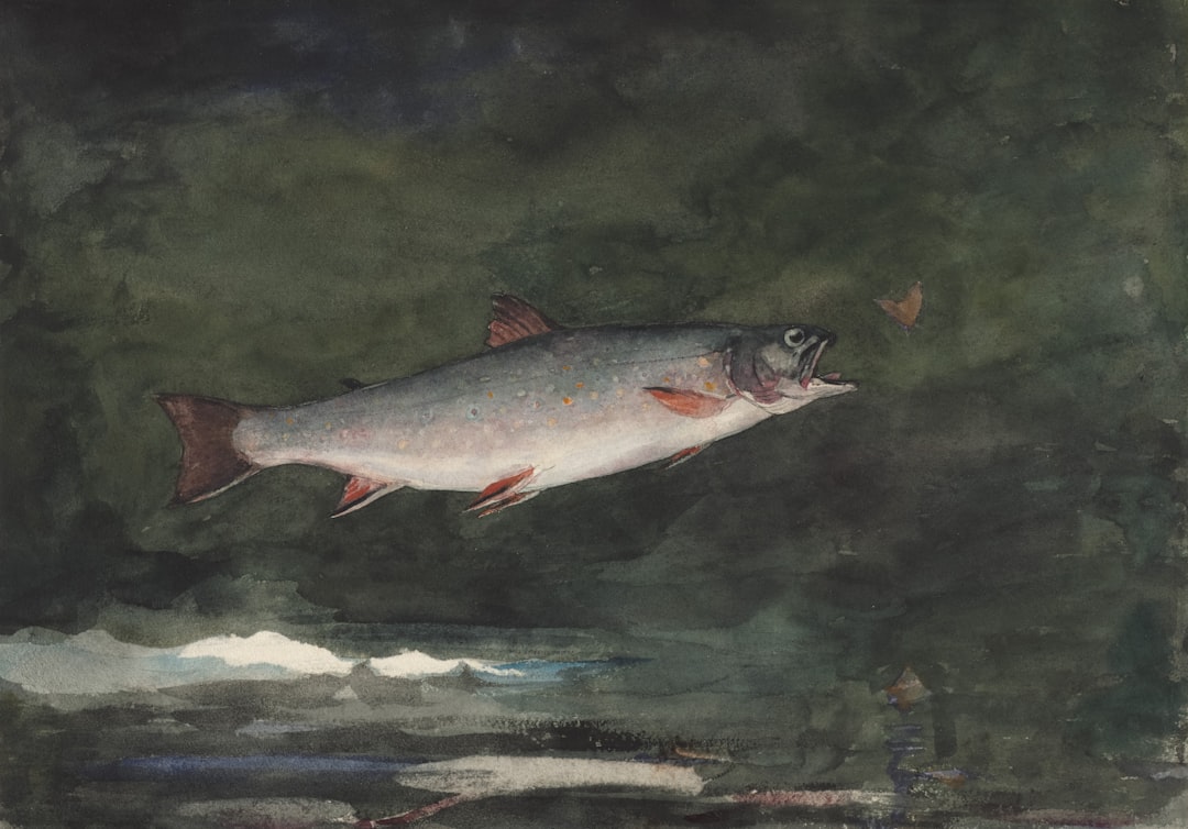 Trout