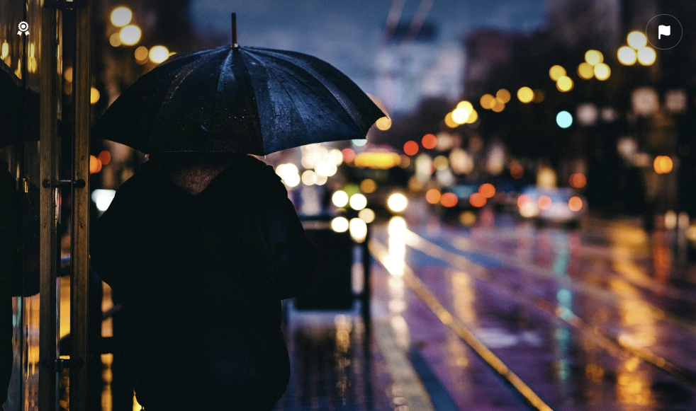 캐롤 영화 대체 사진