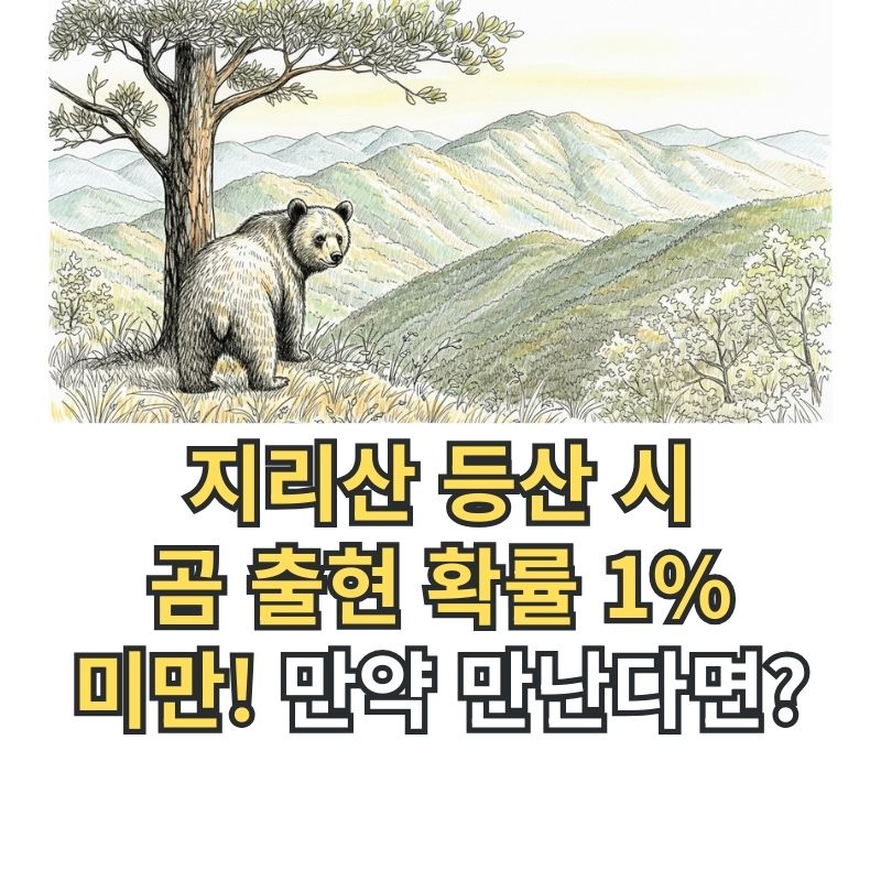 지리산 반달가슴곰 조우 확률 안전 수칙 썸네일