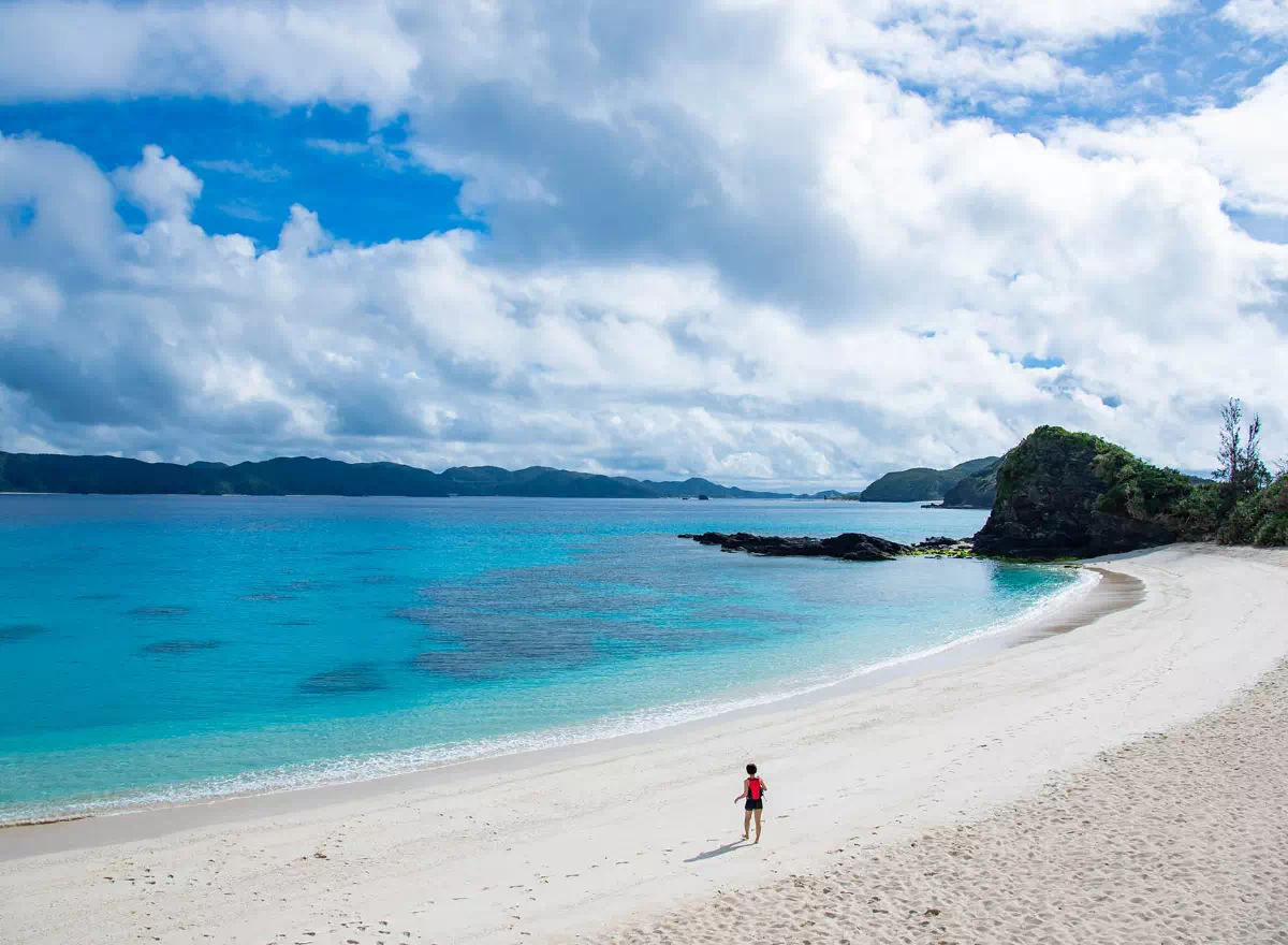 자마미섬 관련 사진