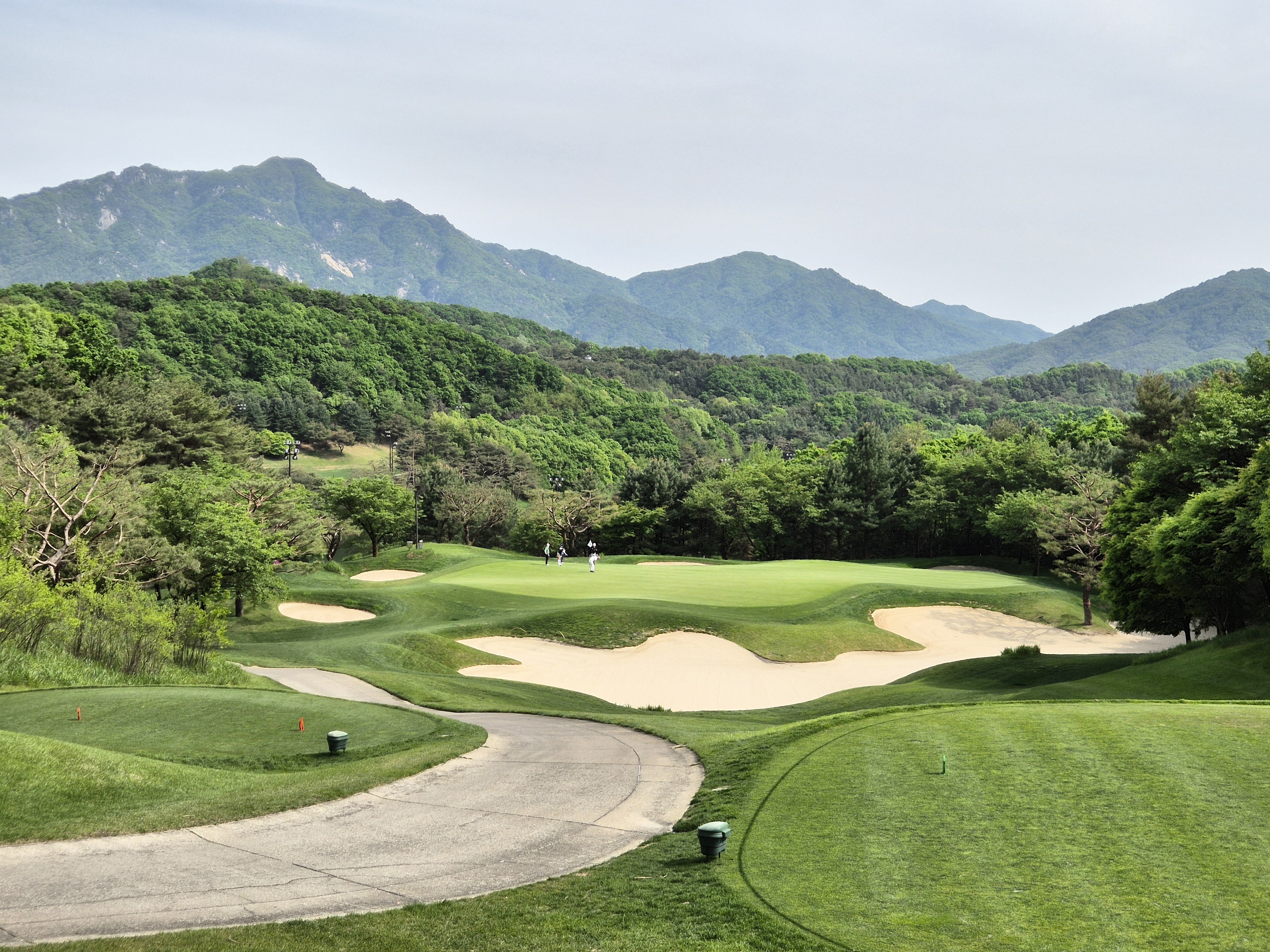 베어크리크cc 크리크코스