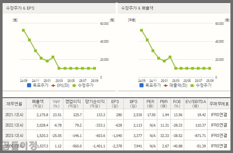 금양 유상증자 일정 확인, 신주인수권 상장일 전략과 주가 전망까지
