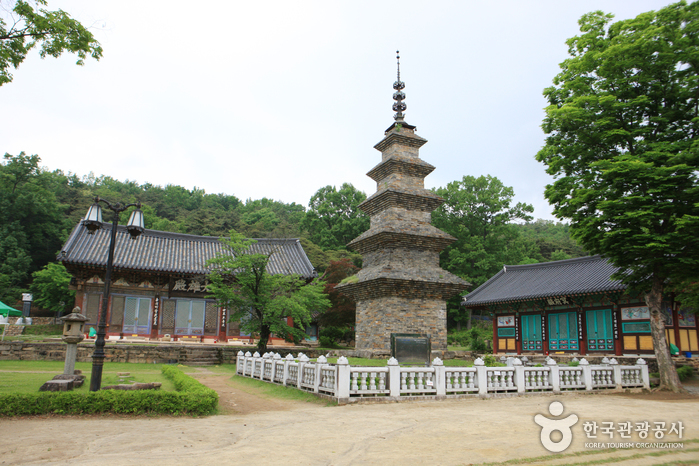 칠곡 가볼만한곳 베스트10