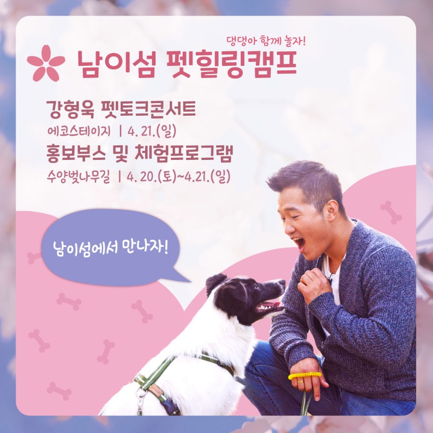 남이섬 펫힐링캠프