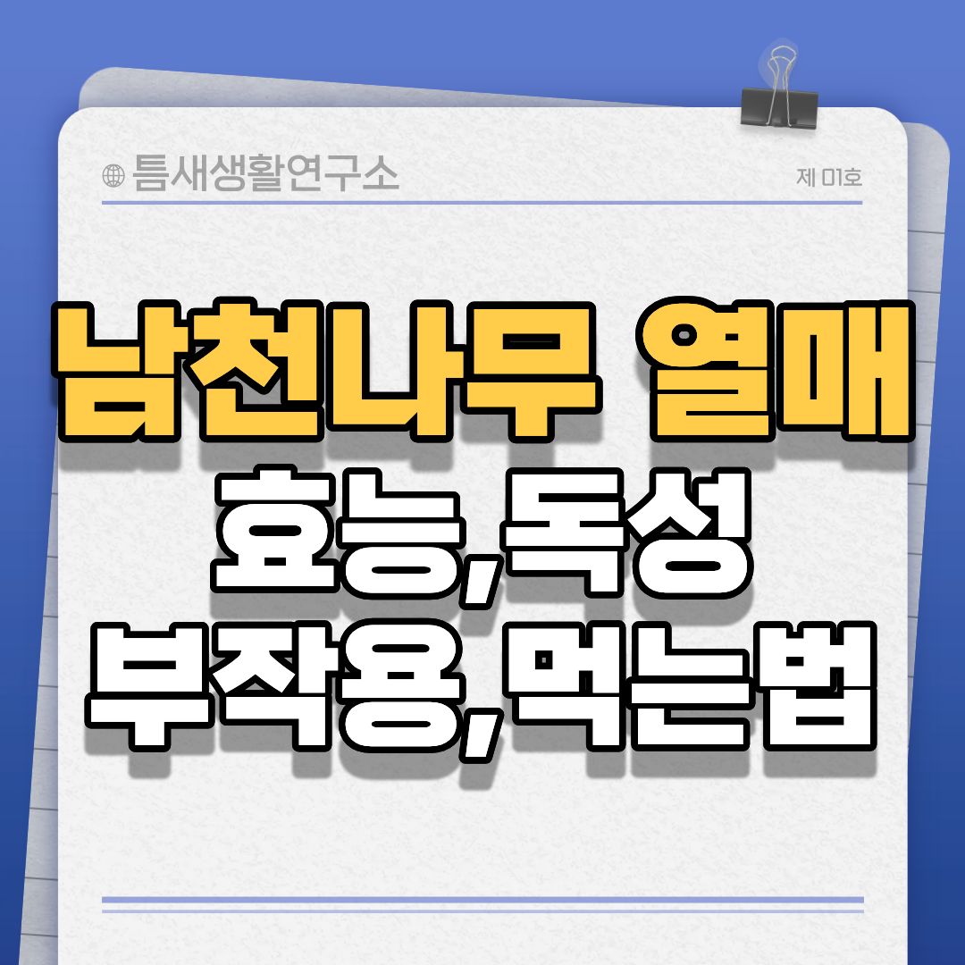 남천나무열매-썸네일