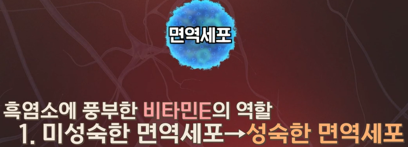 흑염소진액 효능