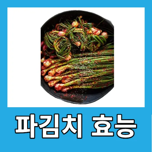 파김치의 효능