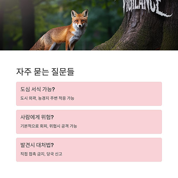 Q&amp;A로 알아보는 궁금증