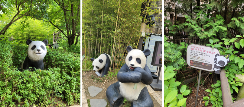 판다월드 가는 길