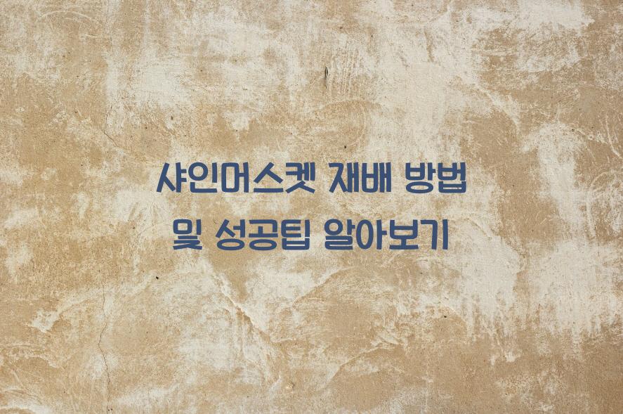 샤인머스켓
