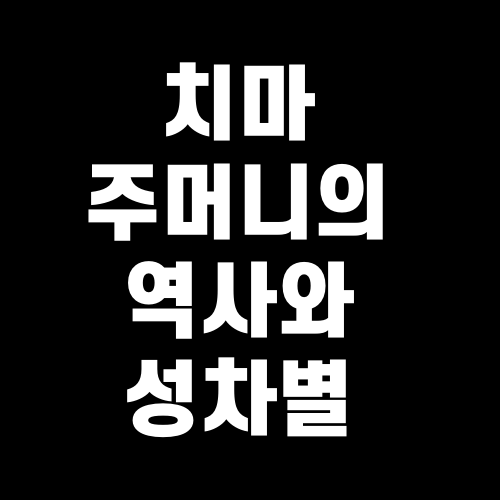 치마 주머니의 역사와 성차별