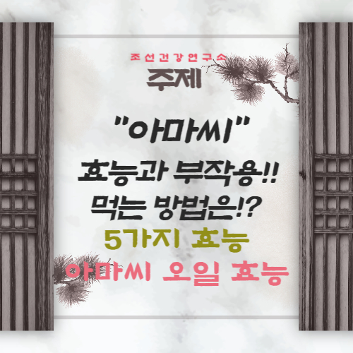 아마씨 효능 5가지와 부작용, 먹는법 아마씨유, 가루