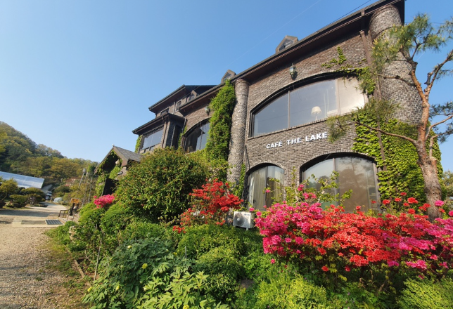 옥천 동네별 세부 분석 — 실제 거주 기준으로 보는 지역별 생활 차이