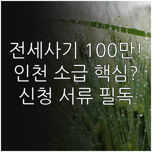 2025 인천 전세사기 100만원 생..