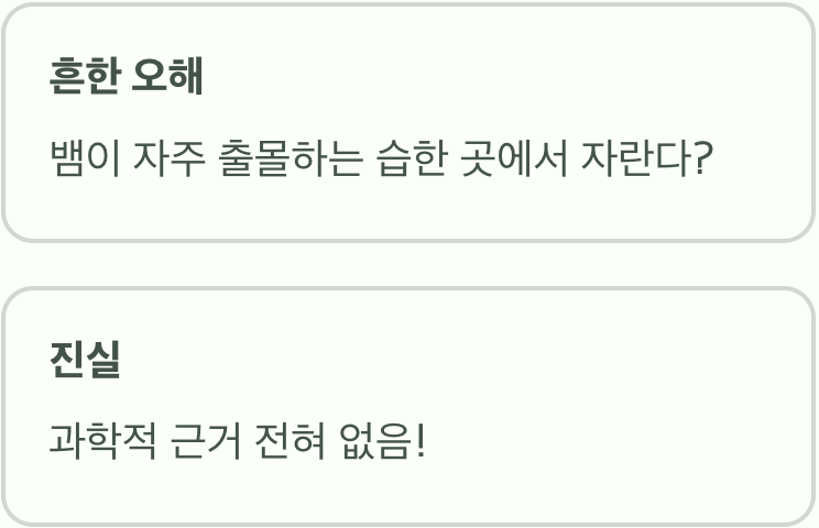 뱀이 나온다고? 이름에 숨겨진 무서운 오해