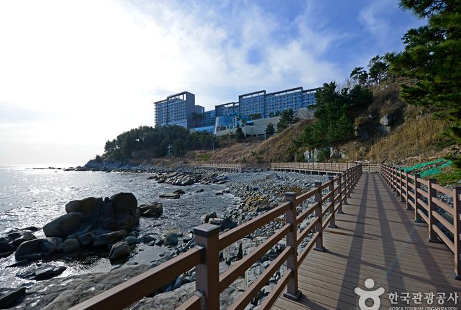 국내당일치기여행_외옹치 해안산책로