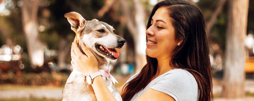 강아지 앉아 훈련 18
