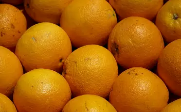 면역력을-높이는-방법-면역력에-좋은-음식-건강