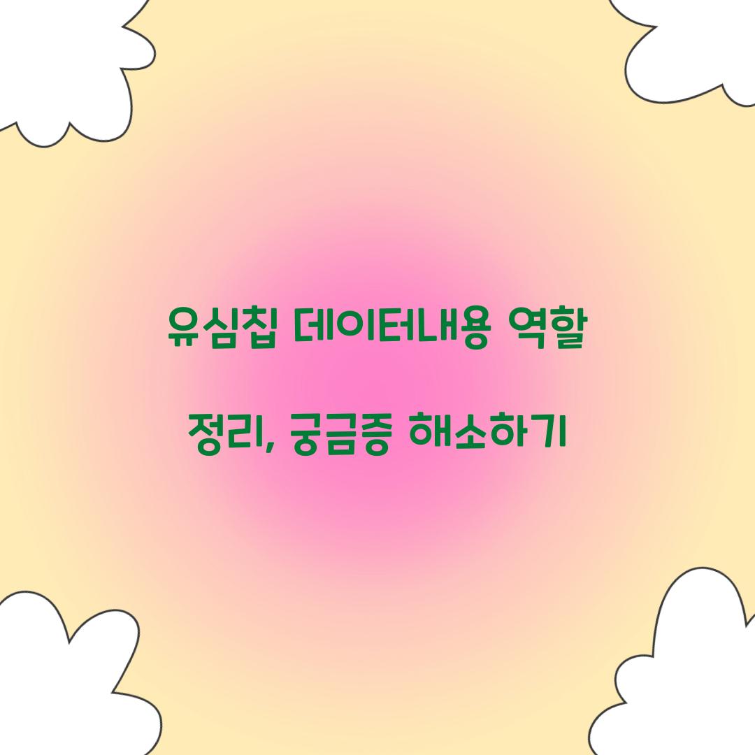 유심칩 데이터내용 역할