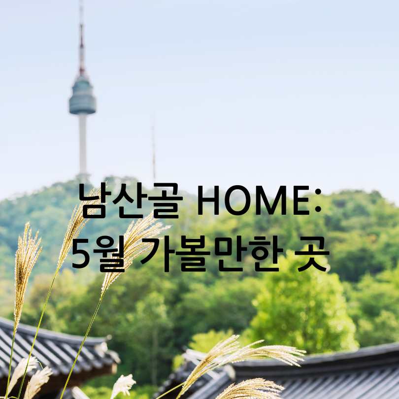 남산골 HOME : 5월 가볼만한 곳,데이트 코스
