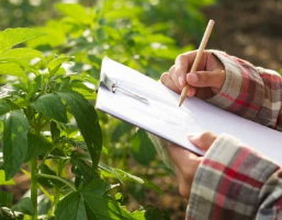 손해평가사 시험 과목 및 일정
