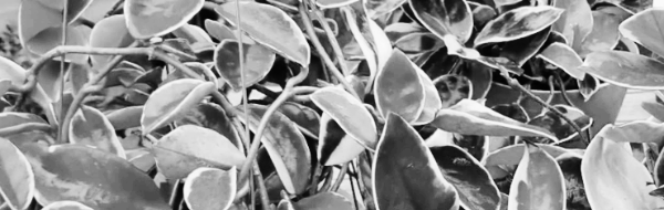 적정 온도: 18~25도