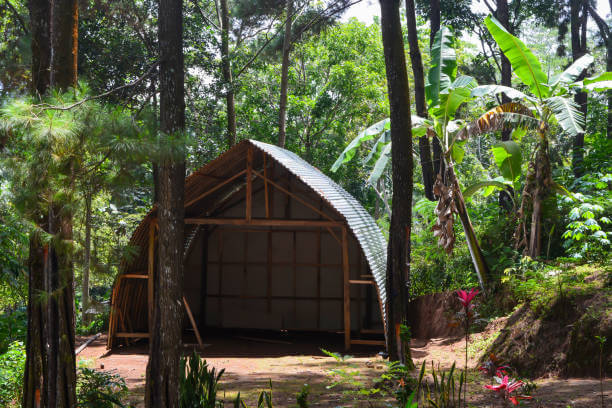 한여름을 위한 시원한 나무그늘 쉼터 설계법