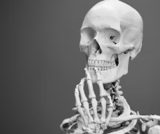 콘드로이친 효능 부작용 주의사항