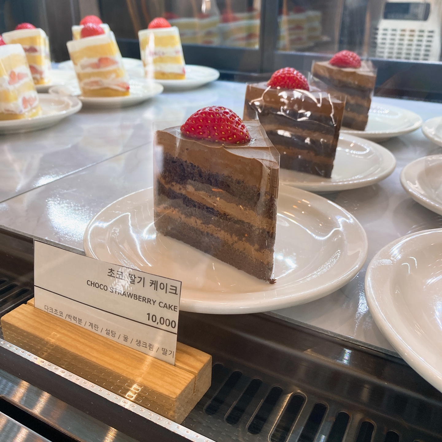 제주 안덕 유채꽃 포토존 오션뷰 카페 휴일로