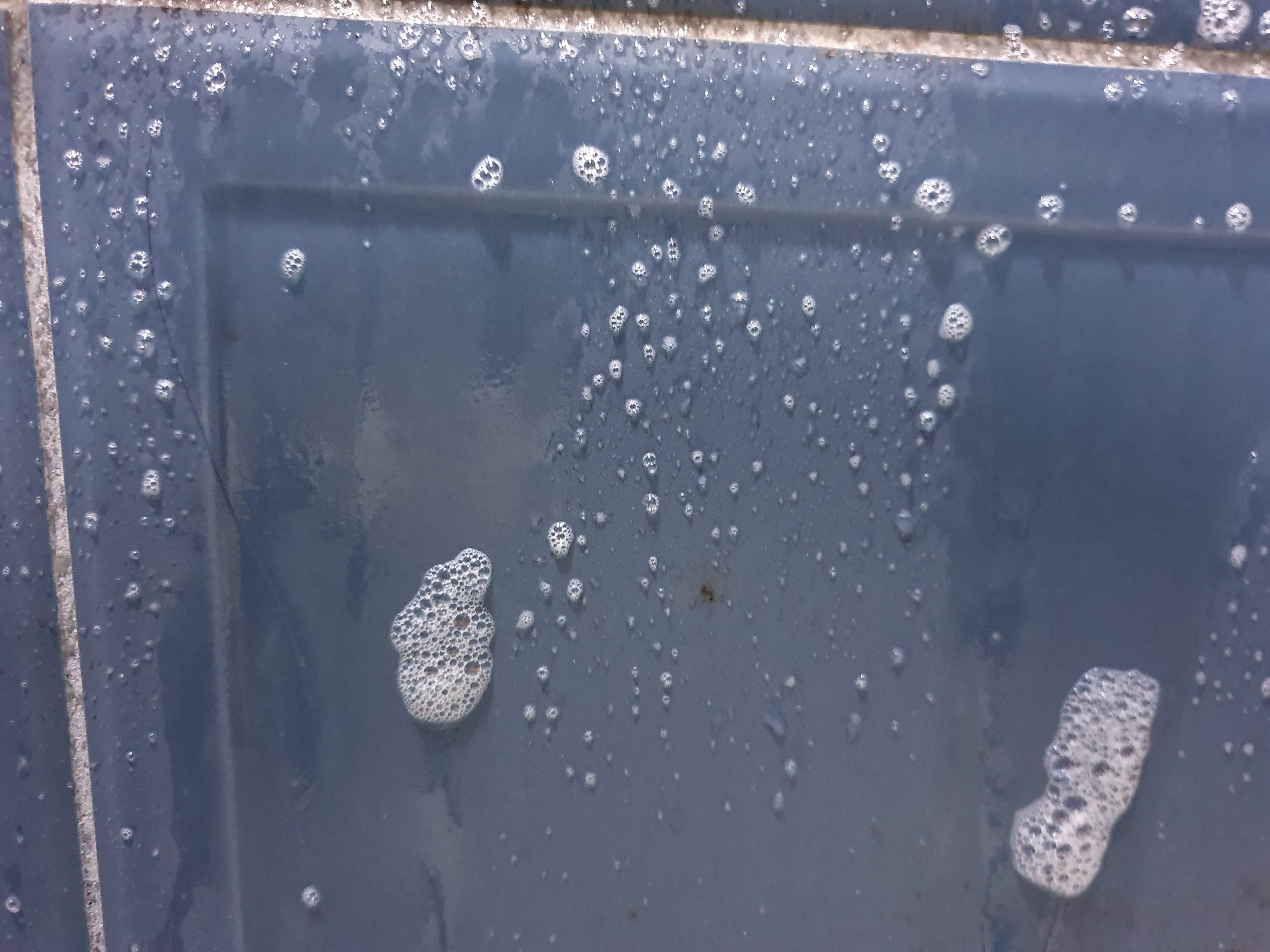 타일곰팡이 풋샴푸