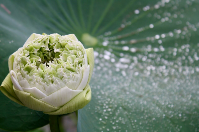 철학자의 하루 - 니체의 산책과 고독