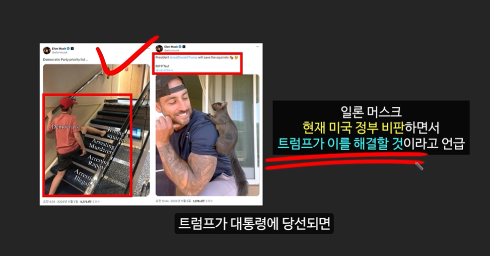 일론 머스크의 충격 발언과 도지코인, 플로키코인, 위프코인, 피넛코인, 프레드 코인의 강력한 상승 가능성 분석