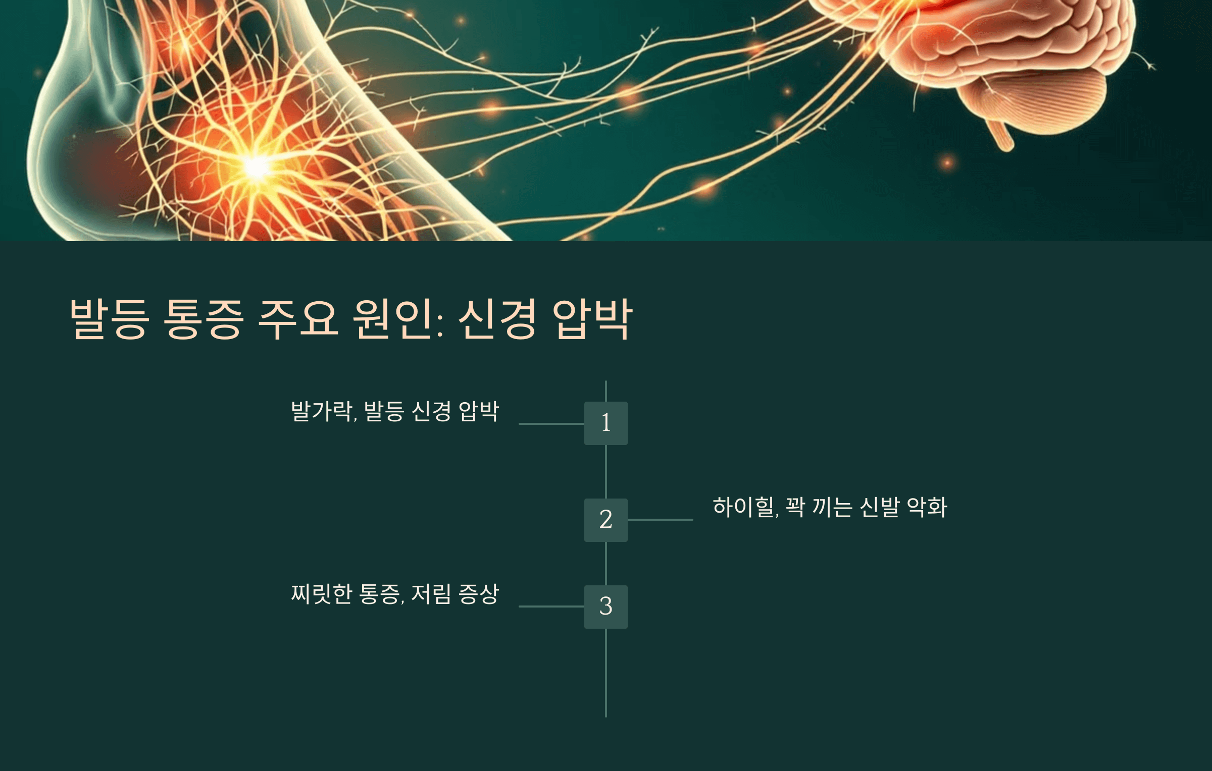 발등 사진입니다.