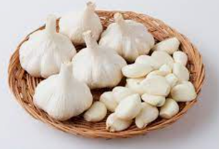 양파 마늘 시금치