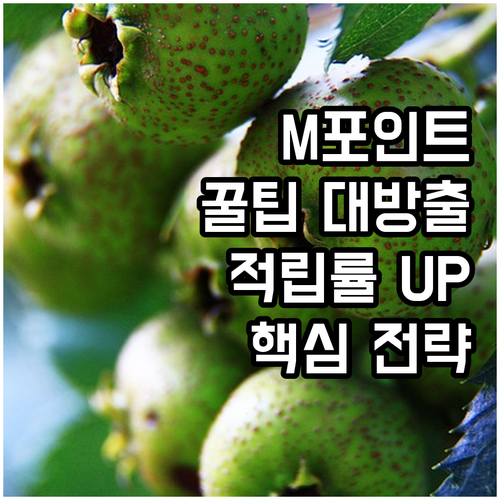 현대카드 M포인트 파헤치기: 적립률 ..
