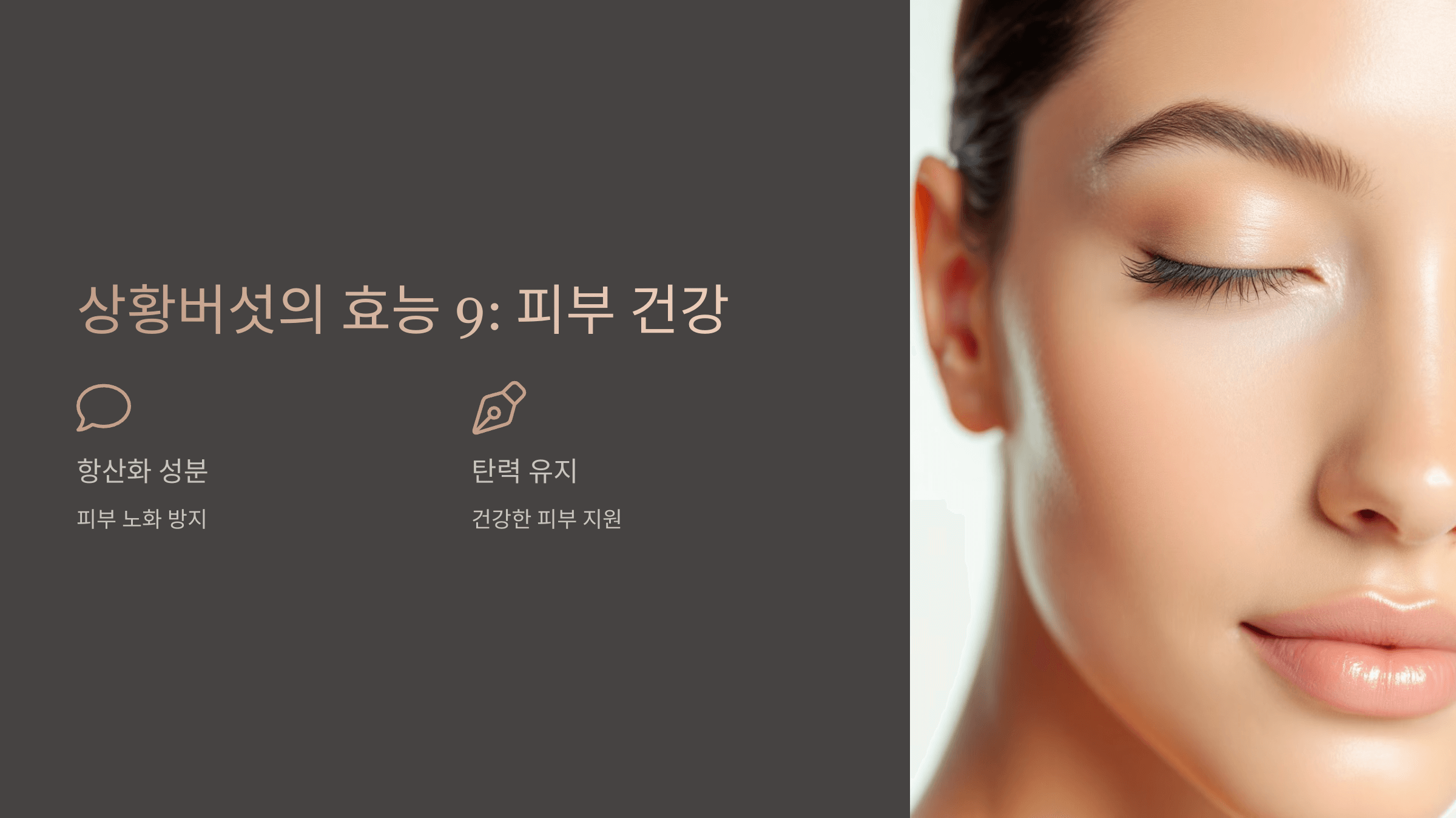 상황버섯과 관련된 사진입니다.