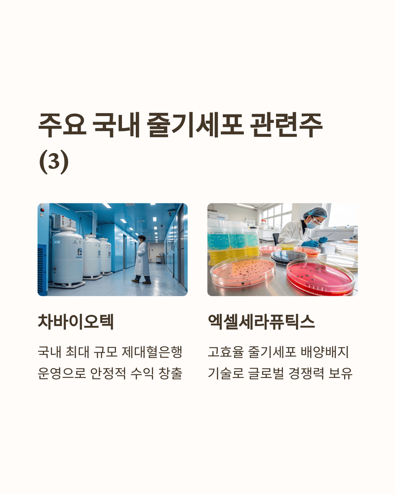 줄기세포 관련주 및 시장 현황