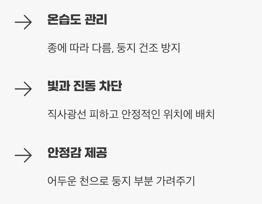 성공적인 사육을 위한 환경 조성