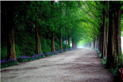 5월 국내여행지 베스트 10