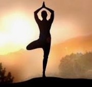 요가의 역사와 요가와 스트레스의 관계 연구 및 종류 조사