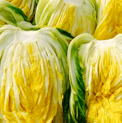 괴산 절임배추20kg 가격비교 카드할인혜택