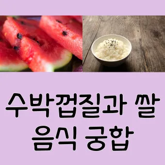 수박껍질 음식물쓰레기 헷갈리는 분들을 위한 정확한 정리_17