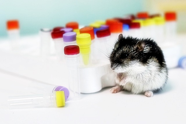 경기도 청소년 생활장학금