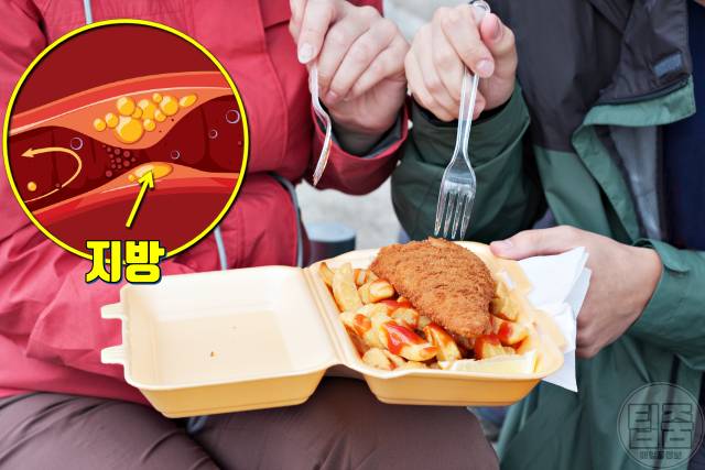 밥 빨리 먹으면 고지혈증 증상 원인