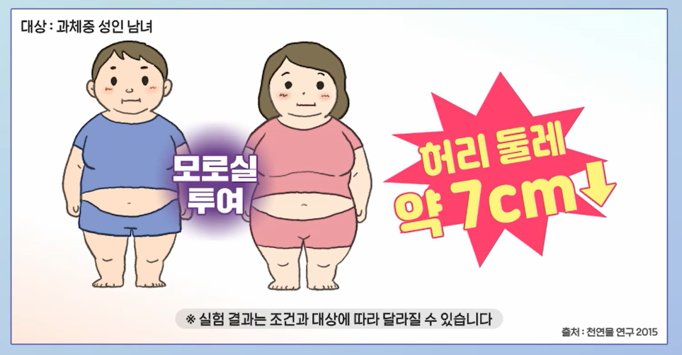 모로실 효능