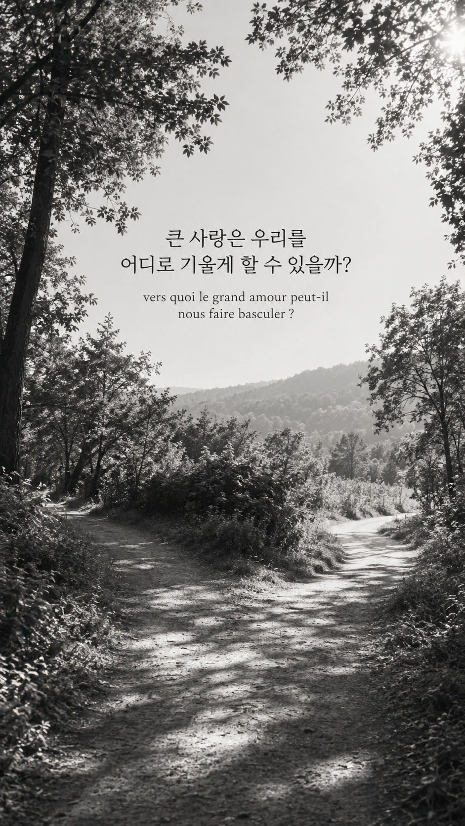 숲속의 갈림길 배경에 담은 기욤 뮈소의 말: 큰 사랑은 우리를 어디로 기울게 할 수 있을까?