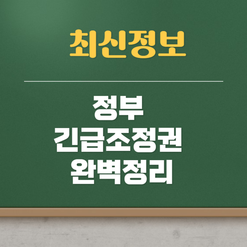정부 긴급조정권